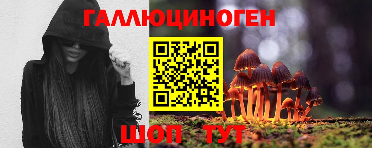 Бугуруслан  Псилоцибиновые грибы MAGIC MUSHROOMS  Вход с VPN 